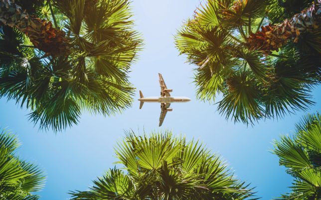 Travel with mountain Mingle